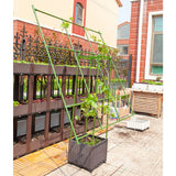 NNEAGS 160cm Rectangular Inclined Plant Frame Tube Pergola Trellis Vegetable Flower Herbs Outdoor Vine Support Garden Rack
