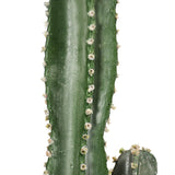 NNEAGS 4X 120cm Green Artificial Indoor Cactus Tree Fake Plant Simulation Decorative 6 Heads