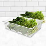 NNEAGS 150mm Clear Gastronorm GN Pan 1/1 Food Tray Storage Bundle of 4