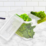 NNEAGS 200mm Clear Gastronorm GN Pan 1/3 Food Tray Storage Bundle of 6 with Lid