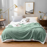 NNEAGS 2X Light Green Throw Blanket Warm Cozy Double Sided Thick Flannel Coverlet Fleece Bed Sofa Comforter