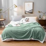 NNEAGS Light Green Throw Blanket Warm Cozy Double Sided Thick Flannel Coverlet Fleece Bed Sofa Comforter