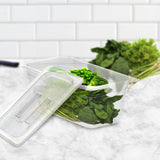 NNEAGS 100mm Clear Gastronorm GN Pan 1/3 Food Tray Storage Bundle of 6 with Lid