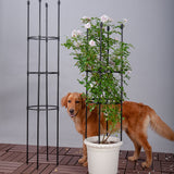NNEAGS 133cm 4-Bar Plant Frame Stand Trellis Vegetable Flower Herbs Outdoor Vine Support Garden Rack with Rings