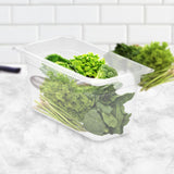NNEAGS 150mm Clear Gastronorm GN Pan 1/3 Food Tray Storage Bundle of 2