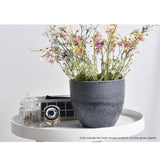 NNEAGS 27cm Weathered Grey Round Resin Plant Flower Pot in Cement Pattern Planter Cachepot for Indoor Home Office