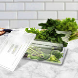 NNEAGS 200mm Clear Gastronorm GN Pan 1/1 Food Tray Storage Bundle of 4 with Lid