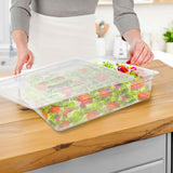 NNEAGS 150mm Clear Gastronorm GN Pan 1/1 Food Tray Storage Bundle of 2 with Lid