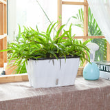 NNEAGS 35cm Small White Rectangular Flowerpot Vegetable Herb Flower Outdoor Plastic Box Garden Decor