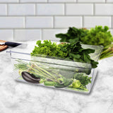 NNEAGS 200mm Clear Gastronorm GN Pan 1/1 Food Tray Storage Bundle of 2