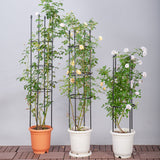 NNEAGS 2X 73cm 4-Bar Plant Frame Stand Trellis Vegetable Flower Herbs Outdoor Vine Support Garden Rack with Rings