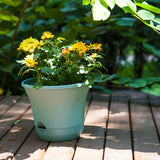 NNEAGS 19.5 cm Blue Plastic Plant Pot Self Watering Planter Flower Bonsai Indoor Outdoor Garden Decor Set of 3
