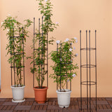 NNEAGS 2X 163cm 4-Bar Plant Frame Stand Trellis Vegetable Flower Herbs Outdoor Vine Support Garden Rack with Rings
