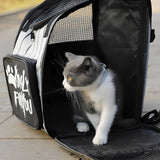 NNEAGS 2X Black Pet Carrier Backpack Breathable Mesh Portable Safety Travel Essentials Outdoor Bag
