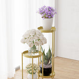 NNEAGS 2X 2 Layer 80cm Gold Metal Plant Stand Flower Pot Holder Corner Shelving Rack Indoor Display
