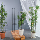 NNEAGS 2X 163cm 4-Bar Plant Frame Stand Trellis Vegetable Flower Herbs Outdoor Vine Support Garden Rack with Rings