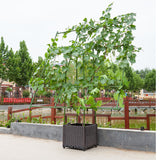 NNEAGS 160cm Rectangular Inclined Plant Frame Tube Pergola Trellis Vegetable Flower Herbs Outdoor Vine Support Garden Rack
