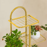 NNEAGS 5 Tier 6 Pots Gold Metal Plant Stand Flowerpot Display Shelf Rack Indoor Home Office Decor