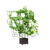 NNEAGS 160cm Rectangular Inclined Plant Frame Tube Pergola Trellis Vegetable Flower Herbs Outdoor Vine Support Garden Rack