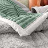 NNEAGS Light Green Throw Blanket Warm Cozy Double Sided Thick Flannel Coverlet Fleece Bed Sofa Comforter