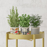 NNEAGS 4X 2 Layer 80cm Gold Metal Plant Stand Flower Pot Holder Corner Shelving Rack Indoor Display