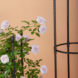 NNEAGS 73cm 4-Bar Plant Frame Stand Trellis Vegetable Flower Herbs Outdoor Vine Support Garden Rack with Rings