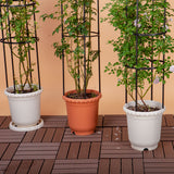 NNEAGS 2X 163cm 4-Bar Plant Frame Stand Trellis Vegetable Flower Herbs Outdoor Vine Support Garden Rack with Rings
