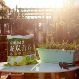 NNEAGS 49.5cm Green Rectangular Planter Vegetable Herb Flower Outdoor Plastic Box with Holder Balcony Garden Decor Set of 3