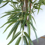 NNEAGS 2X 210cm Lucky Bamboo Tree Bambusa Vulgaris Artificial Plant w/ 7 Branches Home Accent Decor