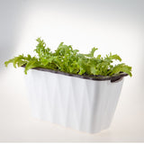 NNEAGS 35cm Small White Rectangular Flowerpot Vegetable Herb Flower Outdoor Plastic Box Garden Decor