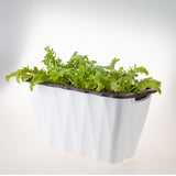 NNEAGS 2X 35cm Small White Rectangular Flowerpot Vegetable Herb Flower Outdoor Plastic Box Garden Decor