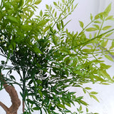NNEAGS 2X 180cm Nandina Heavenly Bamboo Tree Artificial Plant Home Accent Decor