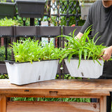 NNEAGS 2X 35cm Small White Rectangular Flowerpot Vegetable Herb Flower Outdoor Plastic Box Garden Decor