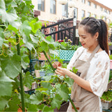 NNEAGS 160cm Rectangular Inclined Plant Frame Tube Pergola Trellis Vegetable Flower Herbs Outdoor Vine Support Garden Rack