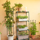 NNEAGS 133cm 4-Bar Plant Frame Stand Trellis Vegetable Flower Herbs Outdoor Vine Support Garden Rack with Rings