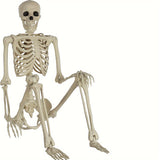 5.4FT Life-Size Human Skeleton Decoration – Adjustable