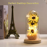 NNETM Radiant Christmas Joy: LED-Lit Artificial Sunflower in Glass Dom