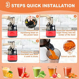 NNETM Fruits and Vegetables Slow Juicer