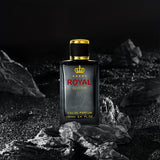 NNETM 100ml Eau De Parfum for Men