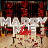 NNETM Romantic Red Rose Petals Balloon Decoration Kit