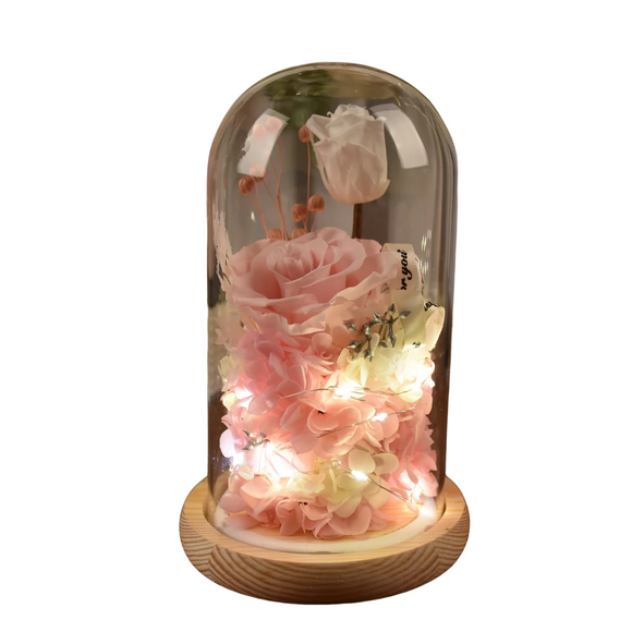 NNEOBA Preserved Rose in Glass Dome with Lights