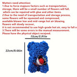 NNETM Preserved Rose Teddy Bear Floral Gift (Blue)
