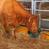 NNETM Automatic Water Trough Bowl for Livestock