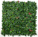 NNEDSZ Photinia (Red Robin) Leaf Screens / Panels UV Stabilised 1m X 1m