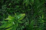 NNEDSZ Green Tropics UV Stabilised 1m X 1m