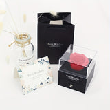NNETM Eternal Love Red Rose Gift Set with 'I Love You' Message
