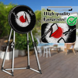 NNETM Dart Board Toy Set Indoor Outdoor for Kids