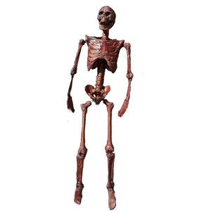 NNEOBA Halloween Mummification Skeleton Life-Size Decoration