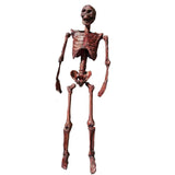 NNEOBA Halloween Mummification Skeleton Life-Size Decoration