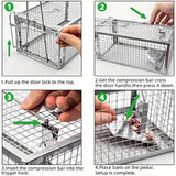 NNETM Humane Rat Trap - Metal Chipmunk and Rodent Trap (1pc)